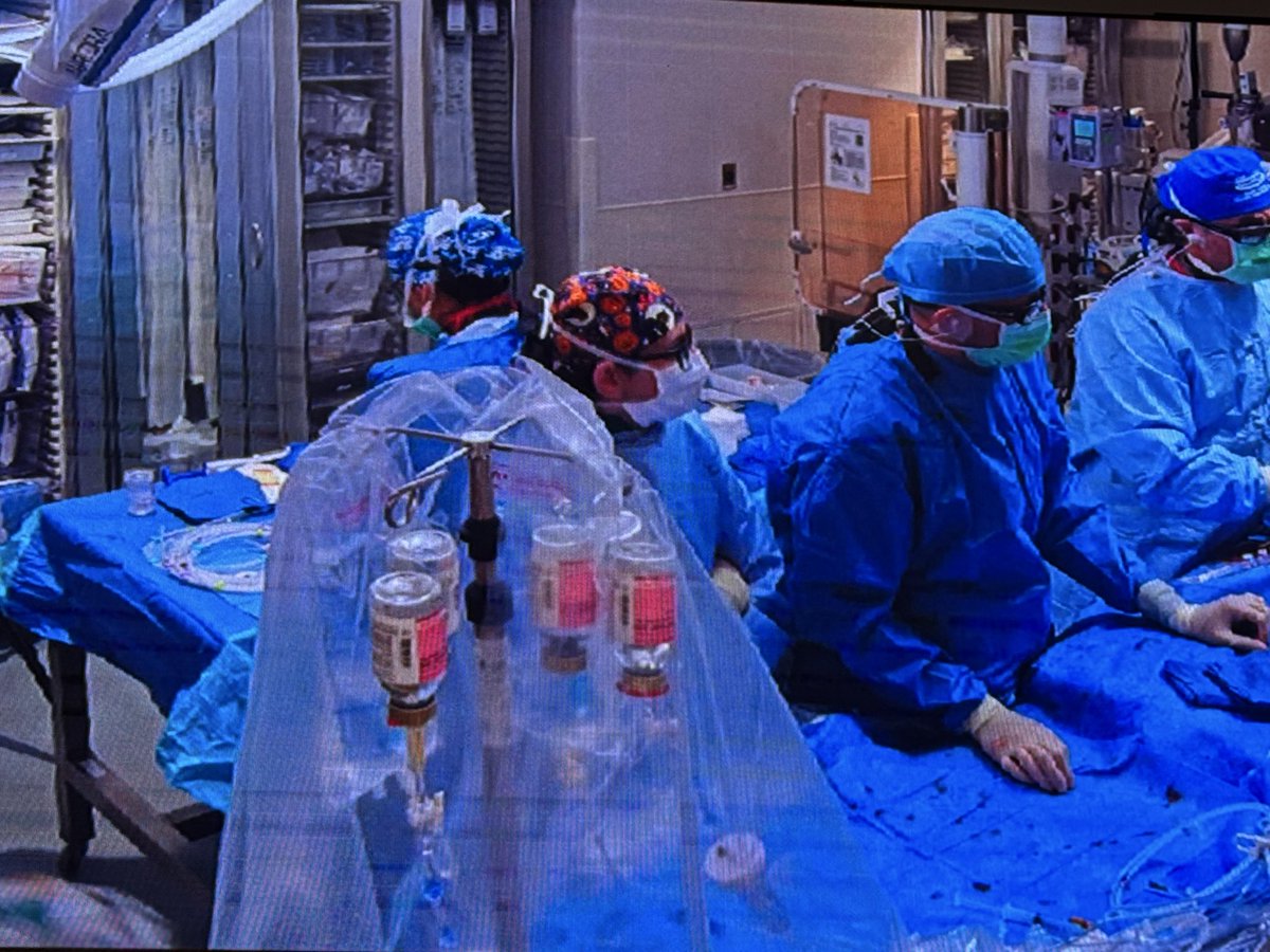 Hany Ragy tweet media