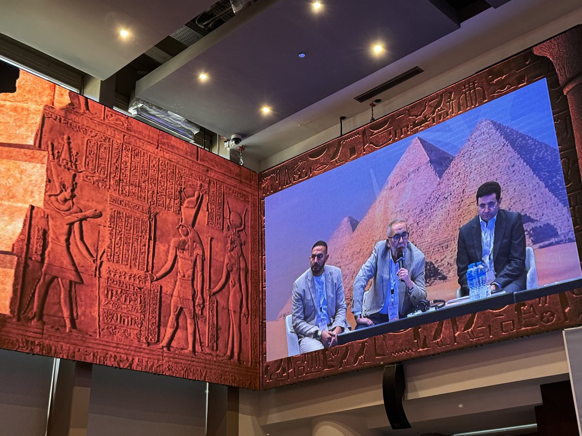 Hany Ragy tweet media