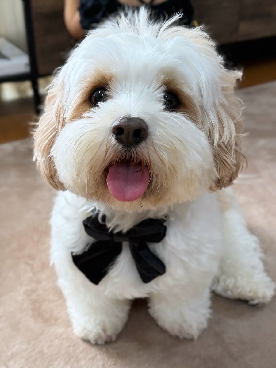 宮原幸恵 tweet media