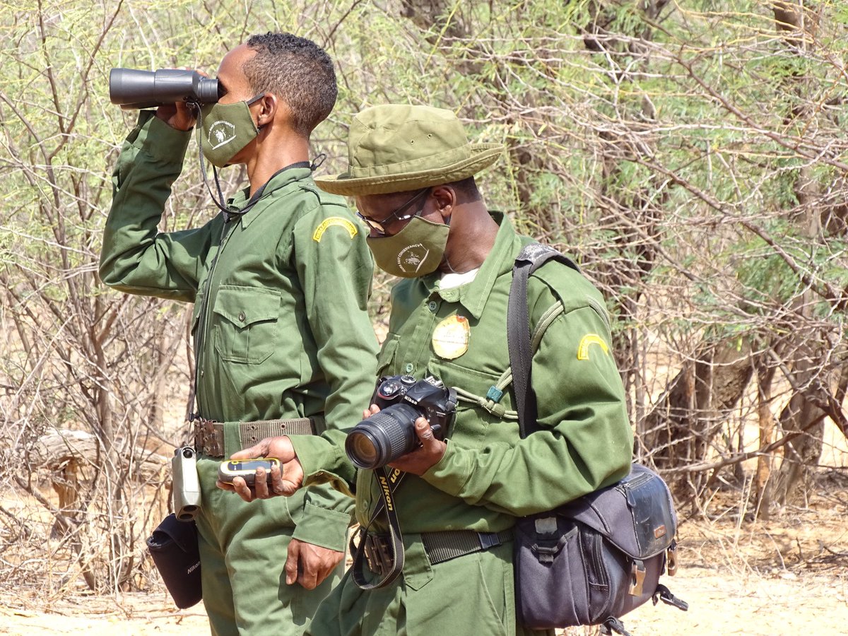 A Day in the Life of a Ranger 

From sunrise patrols to late-night monitoring, our rangers are the heartbeat of conservation. Each day, they walk long distances under the hot sun, track wildlife, remove snares, and work closely with communities to protect our wildlife.