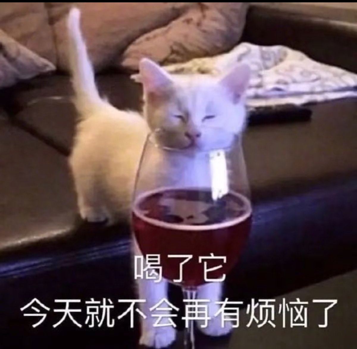 老徐阴阳怪气完，币安光速改合约API支持中文，Alpha上客服小何。

在某种程度上，是不是要感谢老徐？

怎么反而更心疼老徐了，成为了Play的一环。