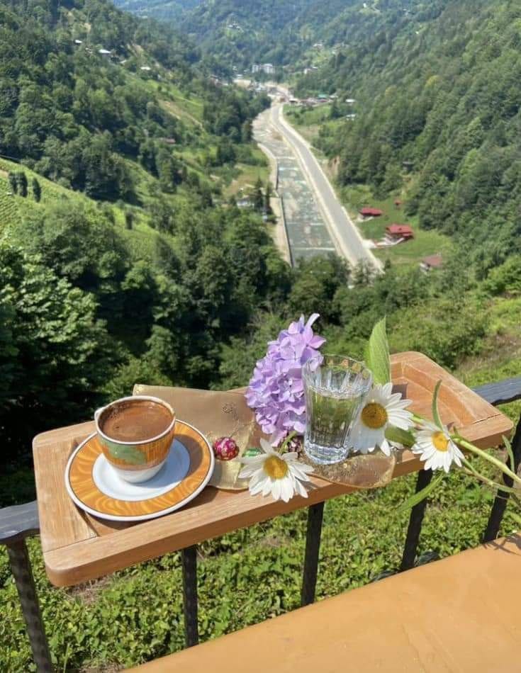 *"لله درّ الرجل الذي يكون محسنًا مع أمه، وأخته، وزوجته،وإبنته،رحيم بالمرأة يرأف بها، ويحنّ عليها،يساندها بكل خطوة تخطوها للخير، جبلاً شامخًا تستظل به،وتستند عليه،لا يُحقرها،ولا يشتمها،إن رأى خيرًا أكبره،وإن رأى خطأً صحّحه،وإن رأى زلة تغافل عنها*
 *اللهم أحسن لكل مُحسن"*🌸🌹♥💪🤲