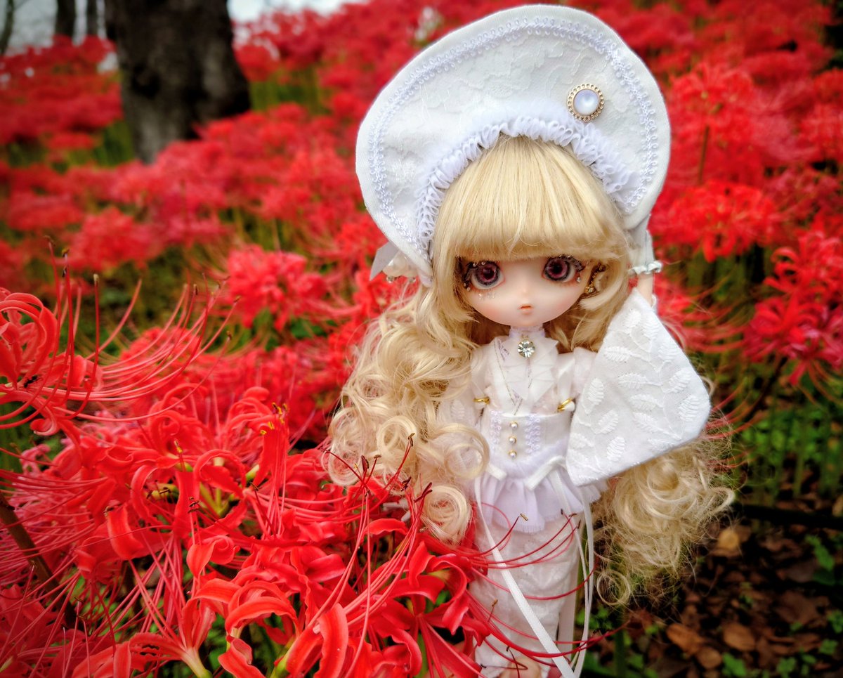 hairy_rat's tweet image. ◯。゜〜彼岸の庭〜゜。◯

#momoga_custom
＃ハルモニアブルーム
＃Harmoniabloom