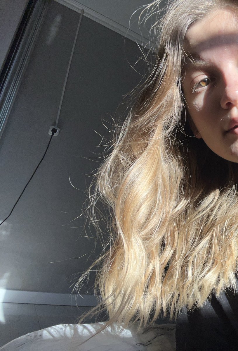 𝐥𝐥𝐨𝐧𝐠𝐫𝐞𝐞𝐧 ☾⋆ tweet media