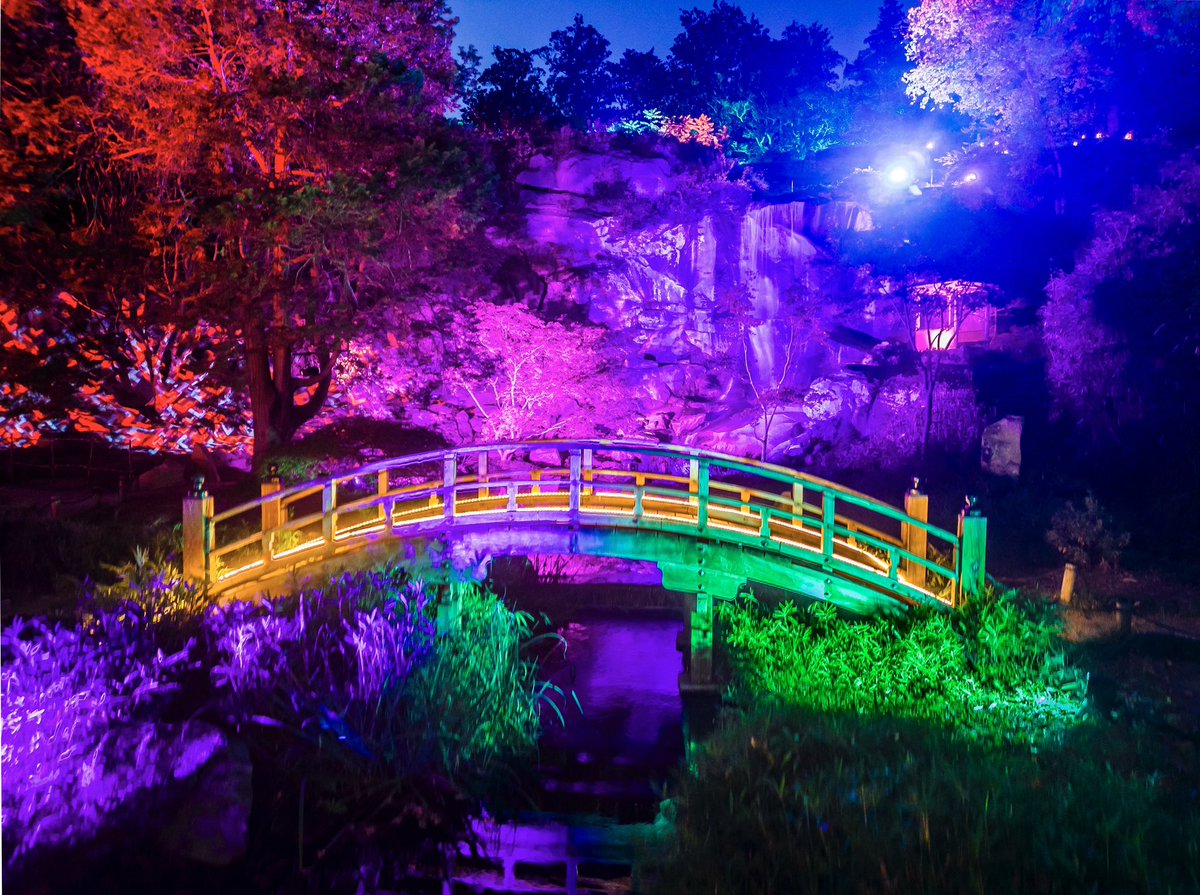 Richmond Family Magazine | RFM tweet media