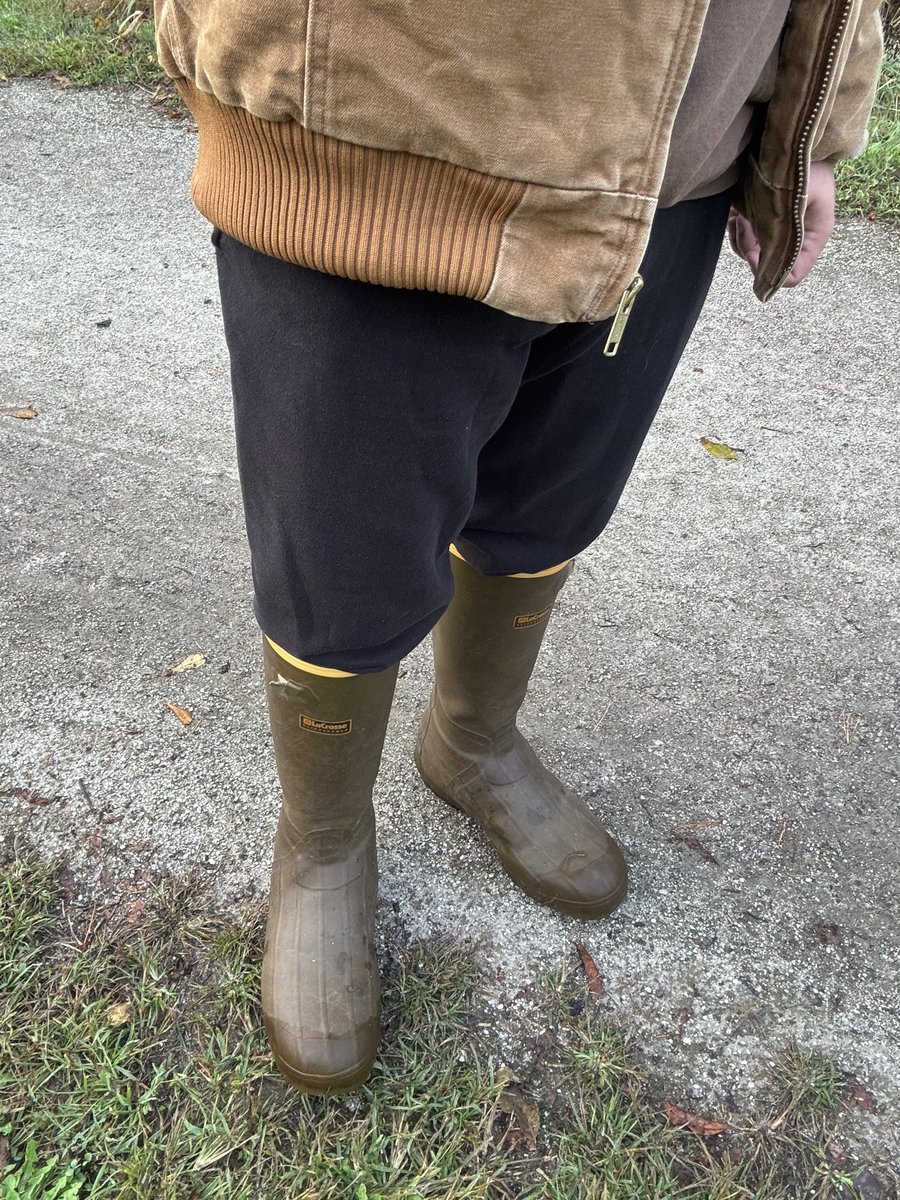Bootstud tweet media