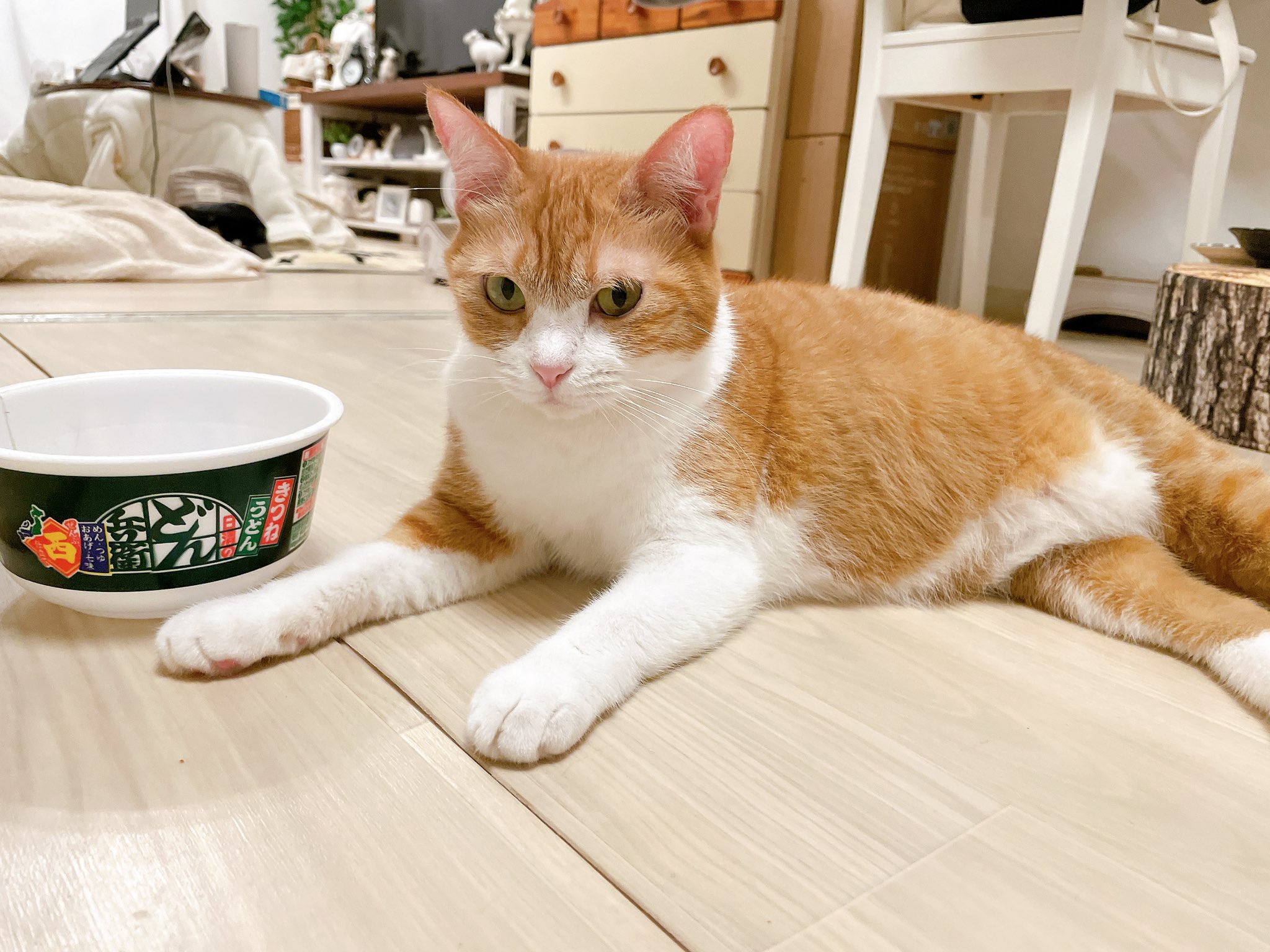 きなこ　画像確認用 からだきなこ ミックスナッツ きなこ