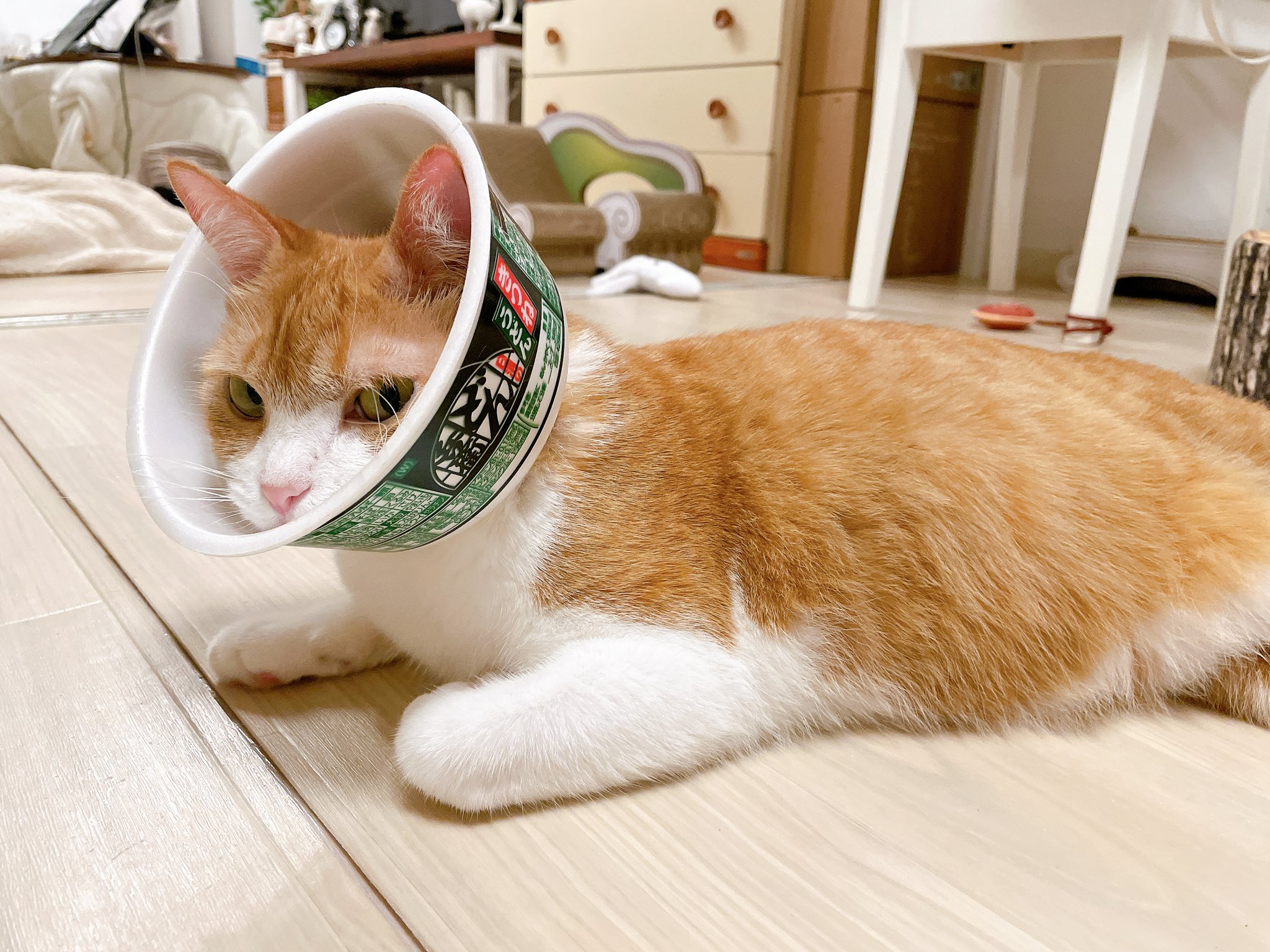 きなこ (@9i_7a_5o) / X