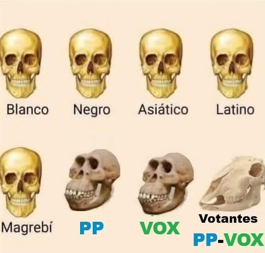 Victor Gasion (@victorgasion) on Twitter photo 