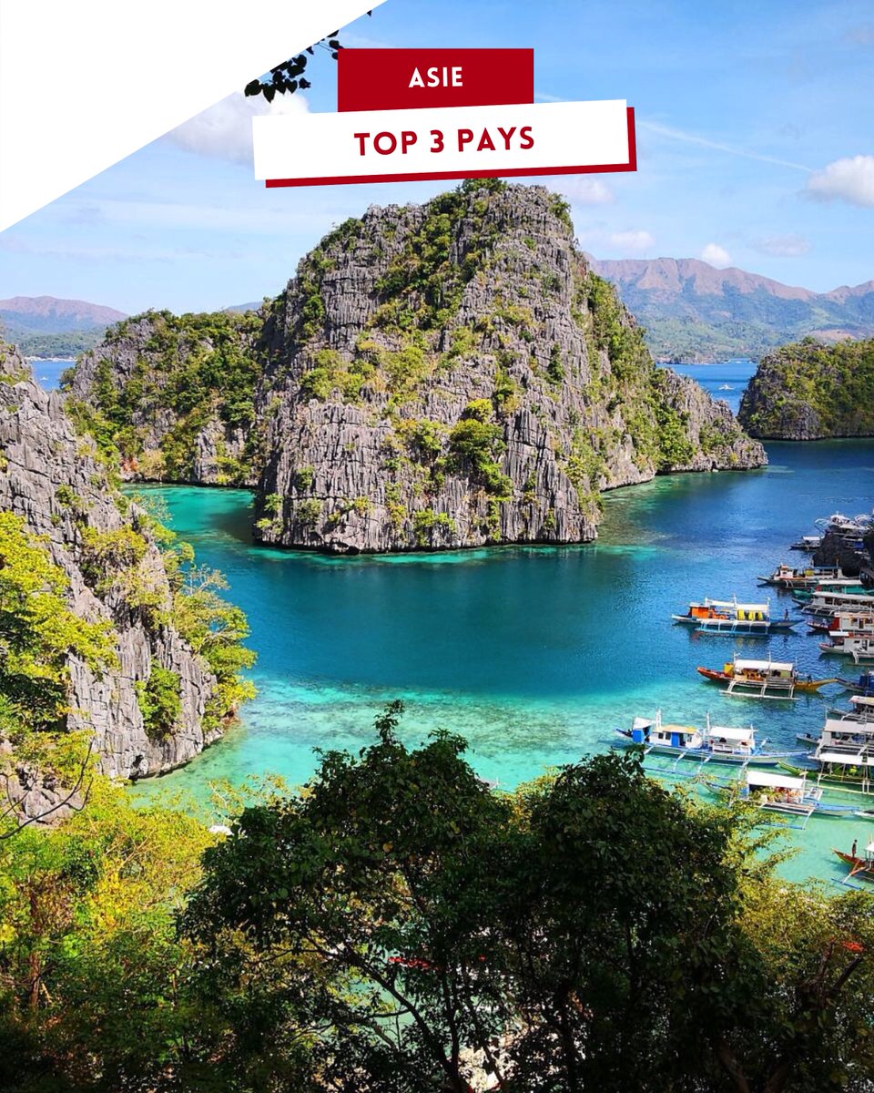 BicheAroundTheWorld tweet media