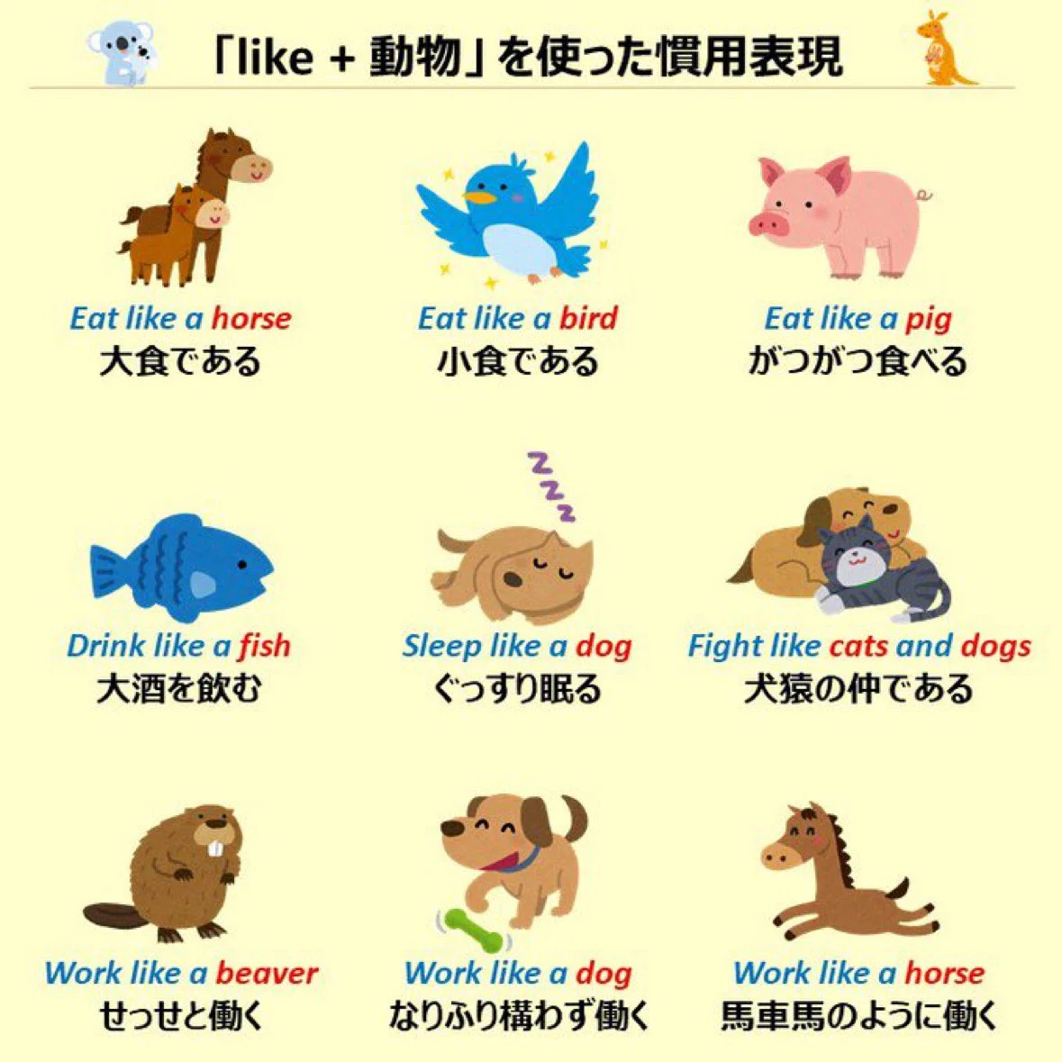 活動歴および当時の関連ビジュアル記録