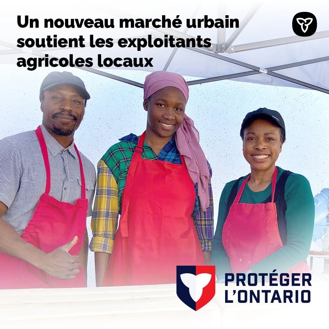 L’Ontario investit jusqu’à 57 185 $ dans Food Haven pour soutenir la création d’un nouvel espace commercial urbain à Oakville, où les petits exploitants pourront vendre leurs fruits, leurs légumes et d’autres produits. 

En savoir plus : foodhaven.ca/press