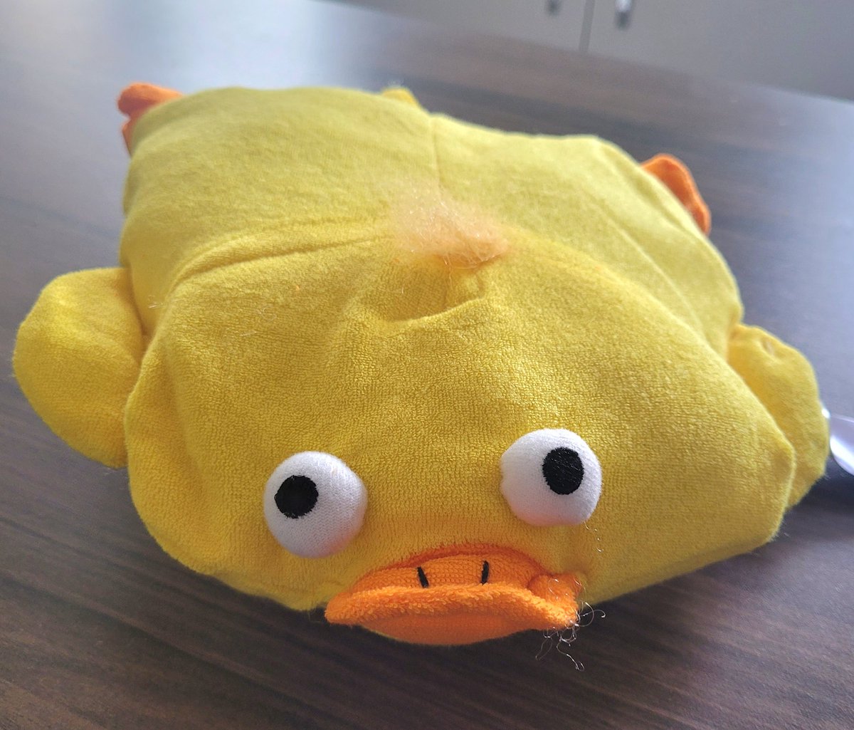 This is Quack Reacher. He joined my family as a bath pillow but I made the mistake of giving him a name and now feel bad using him as a cushion, so he has retired and enjoys life settled on the side of the bath.