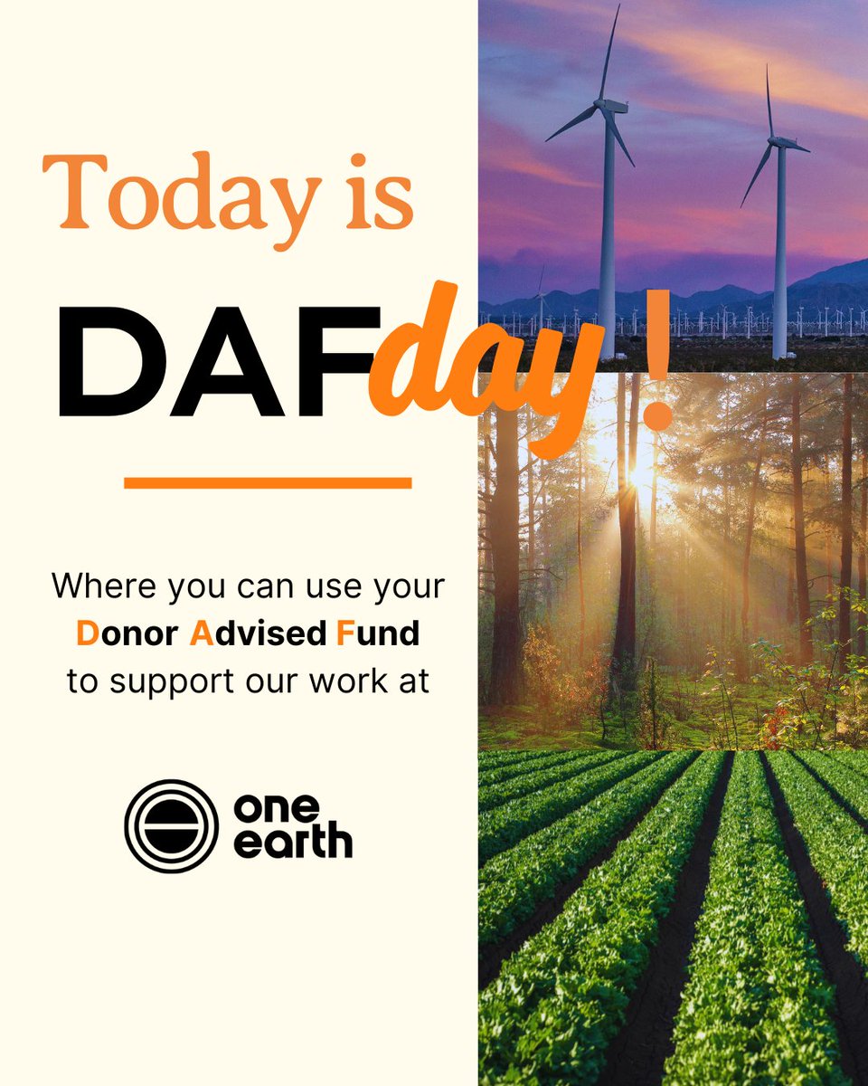 Did you know you can donate to One Earth through your Donor Advised Fund (DAF)? #DAFDay is a new kind of giving day that redefines how donor-advised funds are utilized and who benefits from them.

Learn more about how you can DAF for One Earth: oneearth.org/daf