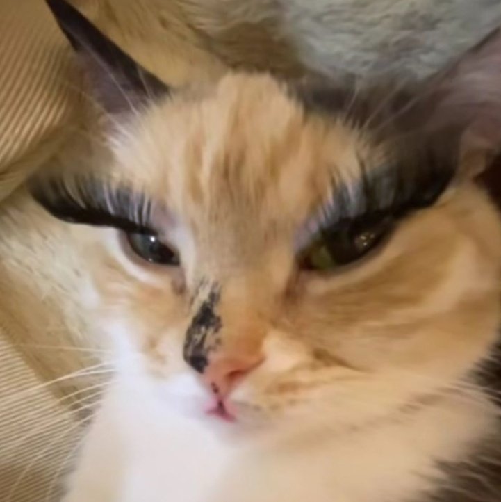 속눈썹의 길이는 그날의 자신감이지