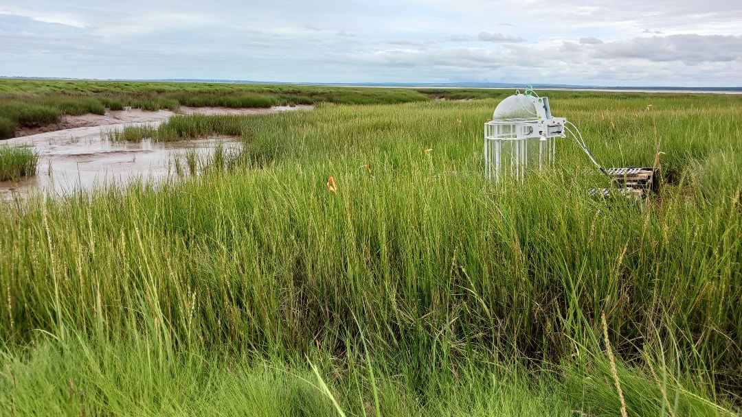 Thinking about adding a base extension to your automated flux chambers?

Eosense base extensions (30 cm &amp; 70 cm) provide stability and reduce vegetation disturbance, perfect for challenging field sites.

Questions? Check the thread or DM us!

#Eosense #Flux #Volume #Fieldresearch