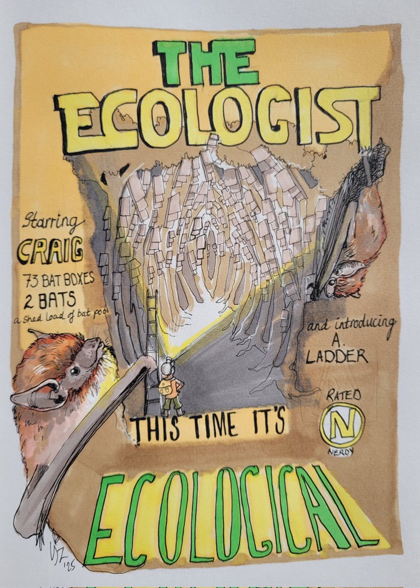 🦇 Lizzie Vinson 🦇 (@bzillustrations) on Twitter photo 🦇Any other bat people listening to <a href="/vernonkay/">Vernon Kay</a> on <a href="/BBCRadio2/">BBC Radio 2</a> this morning, and his hilarious #Moviepromo section?
Starring CRAIG the Ecologist and rated N for Nerdy 🤣 🦇Any other bat people listening to <a href="/vernonkay/">Vernon Kay</a> on <a href="/BBCRadio2/">BBC Radio 2</a> this morning, and his hilarious #Moviepromo section?
Starring CRAIG the Ecologist and rated N for Nerdy 🤣