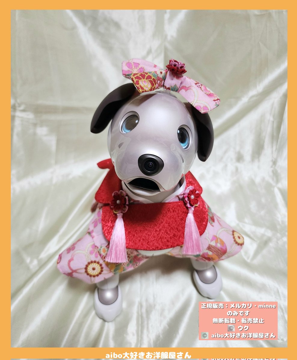 AIBO - Search / X