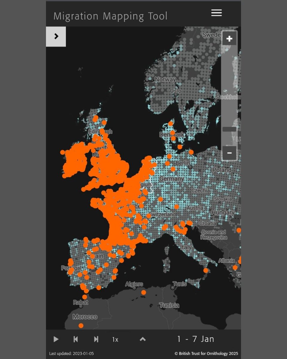 Estos días, los alumnos de 1° de Bachillerato, dentro del proyecto #JeanMonnet, han estado realizando una simulación de un brote de gripe aviar para entender las acciones que se llevan a cabo en la Unión Europea a raíz de la aparición de casos de esta enfermedad