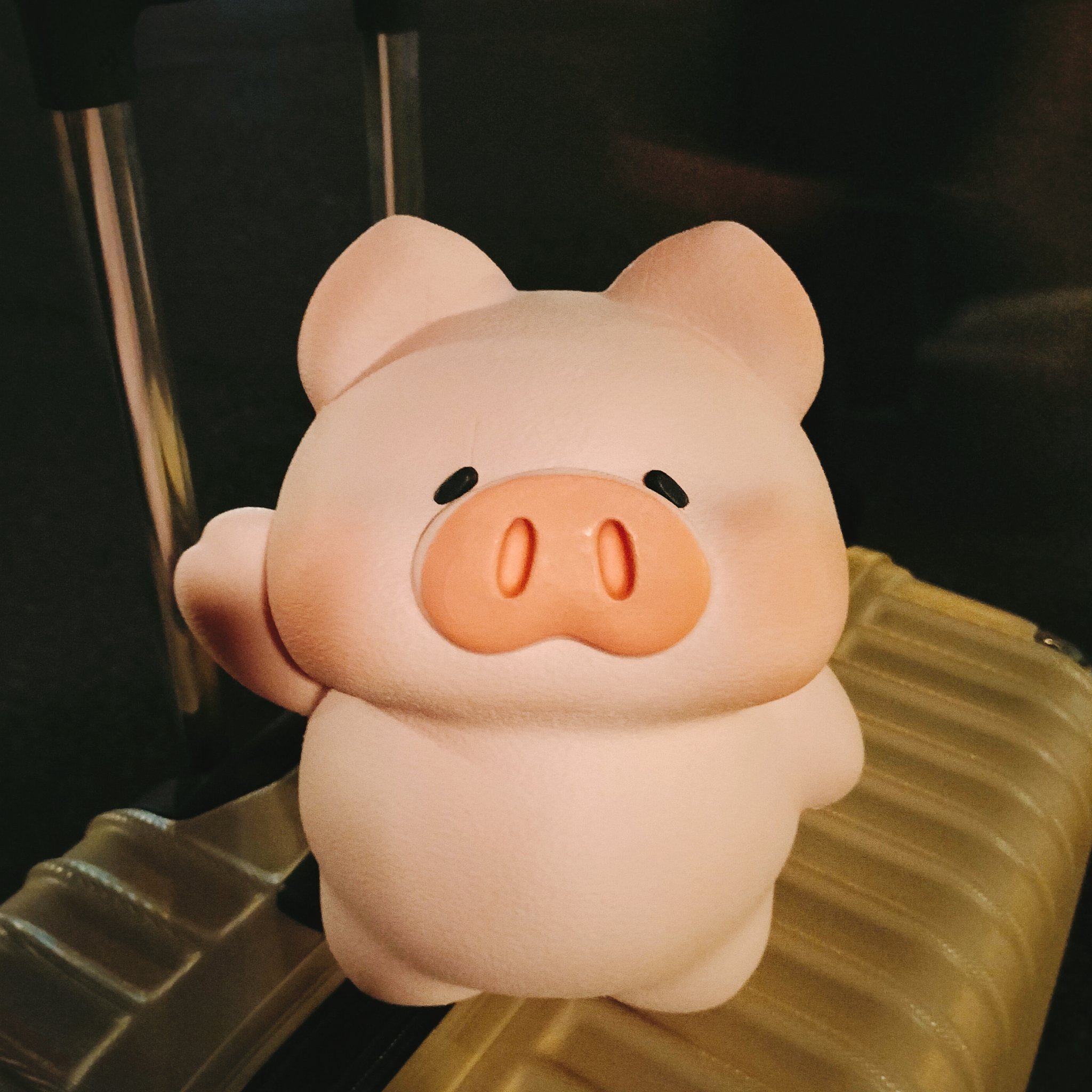 子豚プロフ必読 a81039c42474570ba4a5ef77e413c9
