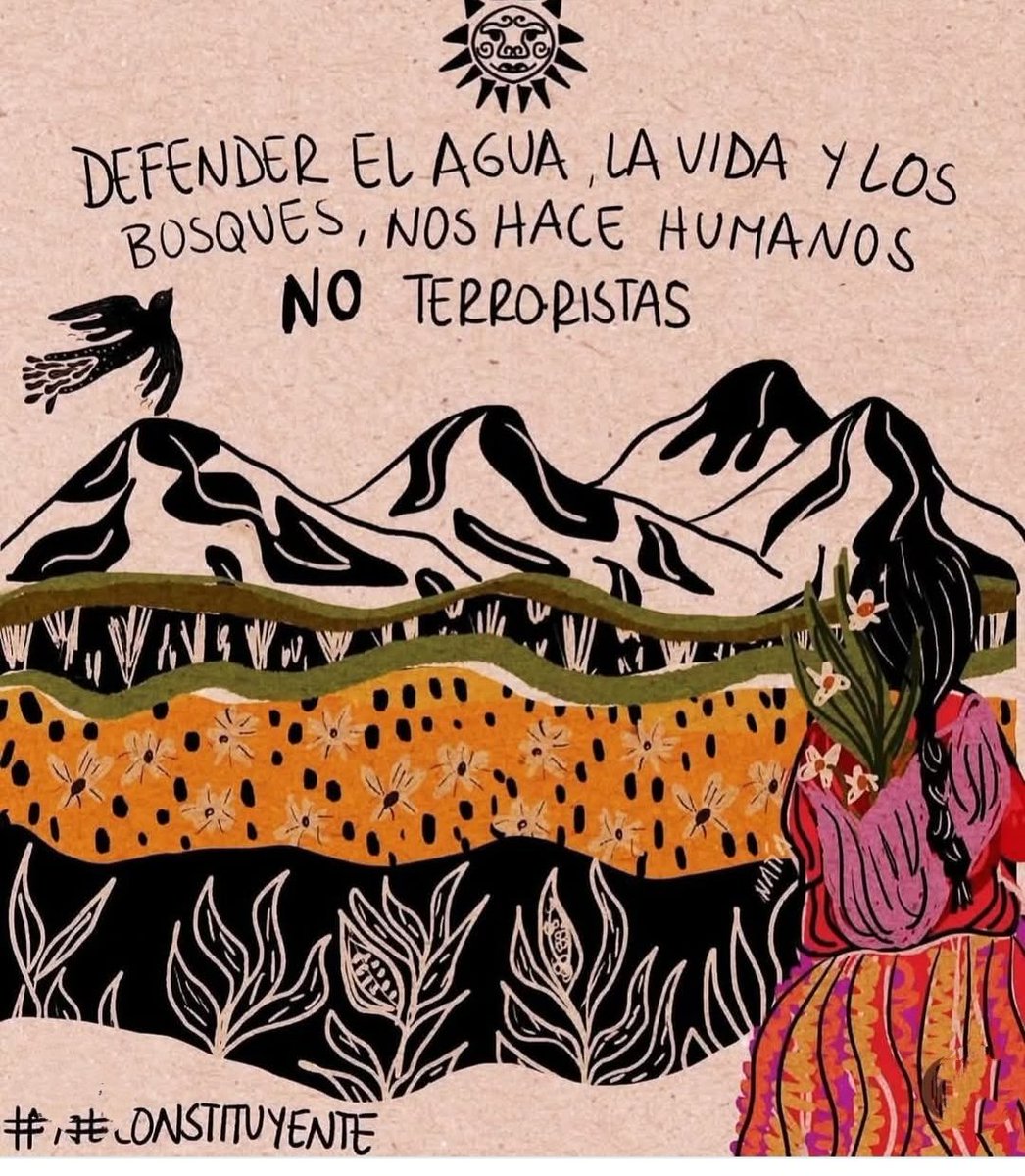 #JusticiaParaJuliaChuñil