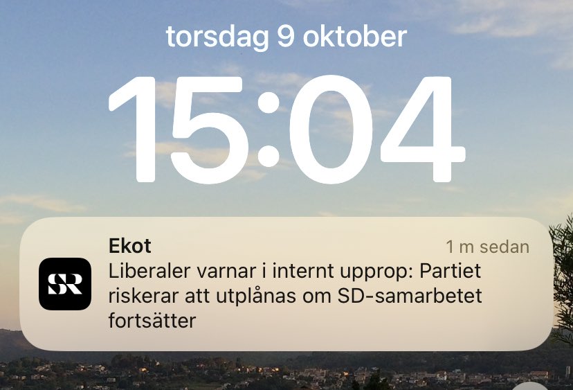 viktorbk tweet picture