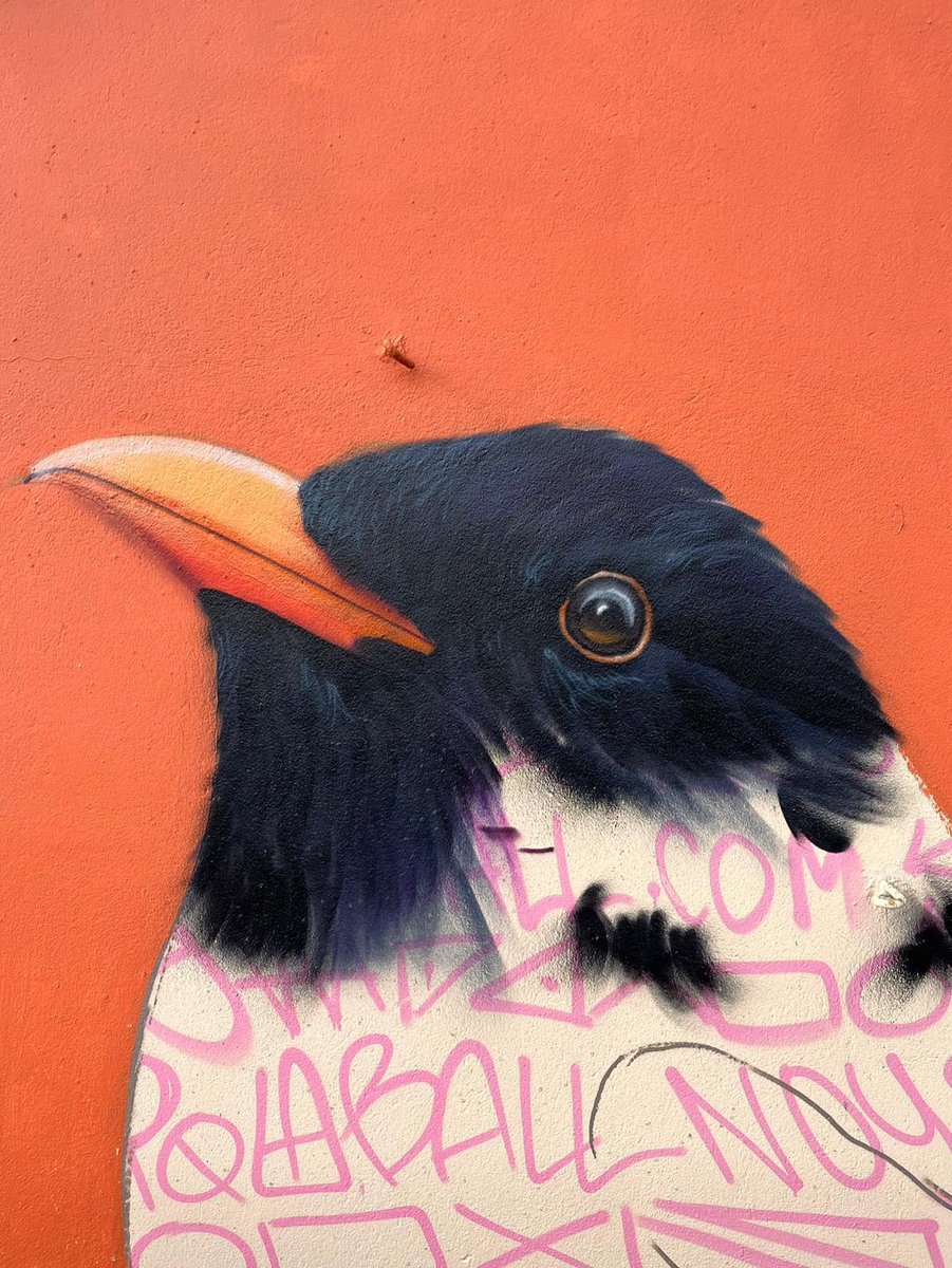 Here’s a preview of our new mural on the gable wall of our Claudy office, crafted by renowned Derry artists Peaball. We cannot wait to see the final artwork! 🖼️ 🎨 #ClaudyVillage