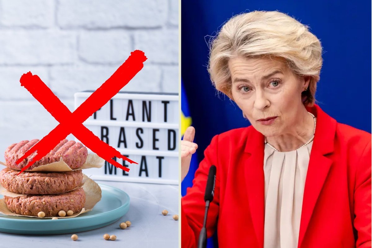 Dneska prošel EP pozměňovací návrh, který zakazuje používání slova burger u vegetariánských burgerů.

PRO hlasovali všichni europoslanci ODS, ANO a Přísahy. 

Vzpomeňte se na to až budou tyhle strany držkovat o zbytečných regulacích z EU.