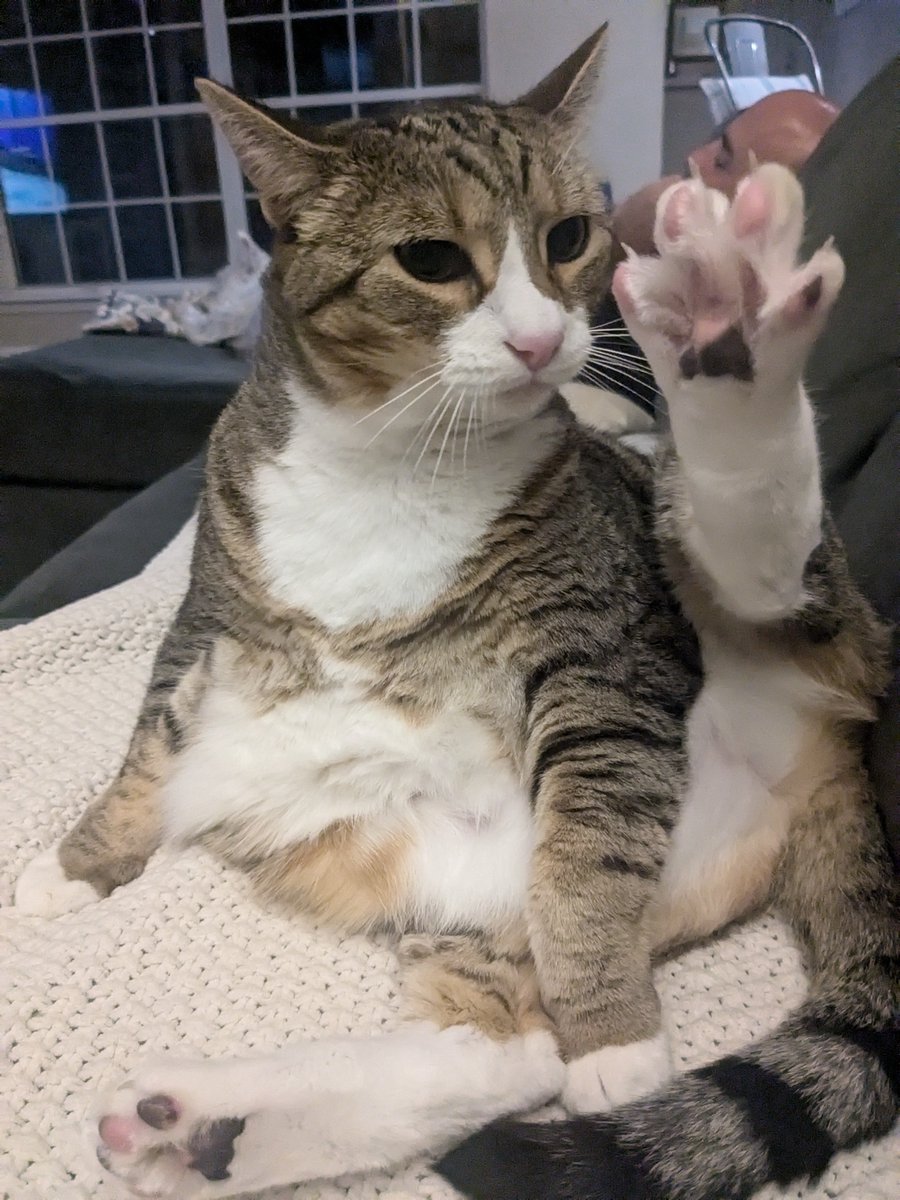 it's bean time, PUT UP DEM BEANZ #toebeanthursday 🫘🫘