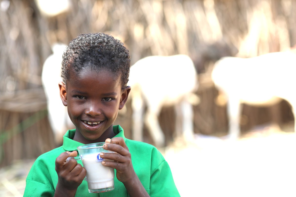 Save the Children in Ethiopia tweet media