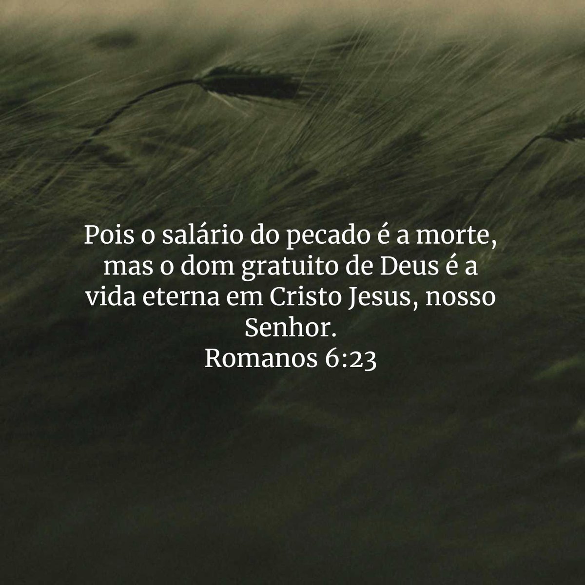 O_Cristao1's tweet photo. Pois o salário do pecado é a morte, mas o dom gratuito de Deus é a vida eterna em Cristo Jesus, nosso Senhor.

Romanos 6:23 https://t.co/JQL9S5iG6y