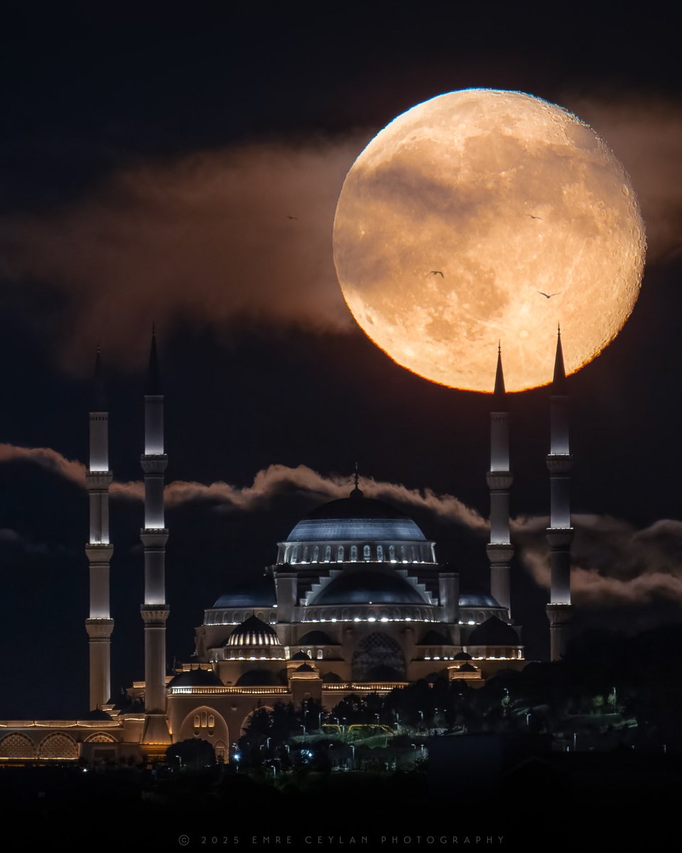 CeylanVisuals's tweet photo. Diğerleri şehir, sen şiirsin istanbul…😍
*
Dün akşam dolunay…Çamlıca Camii arkasından yükselirken, Sarayburnu’ndan çekildi.
*
Others are cities,
but you…
you are a poem, Istanbul… 😍

Captured from Sarayburnu, as the moon rose behind Çamlıca Mosque.
*
#istanbul #Astrophotography #fullmoon