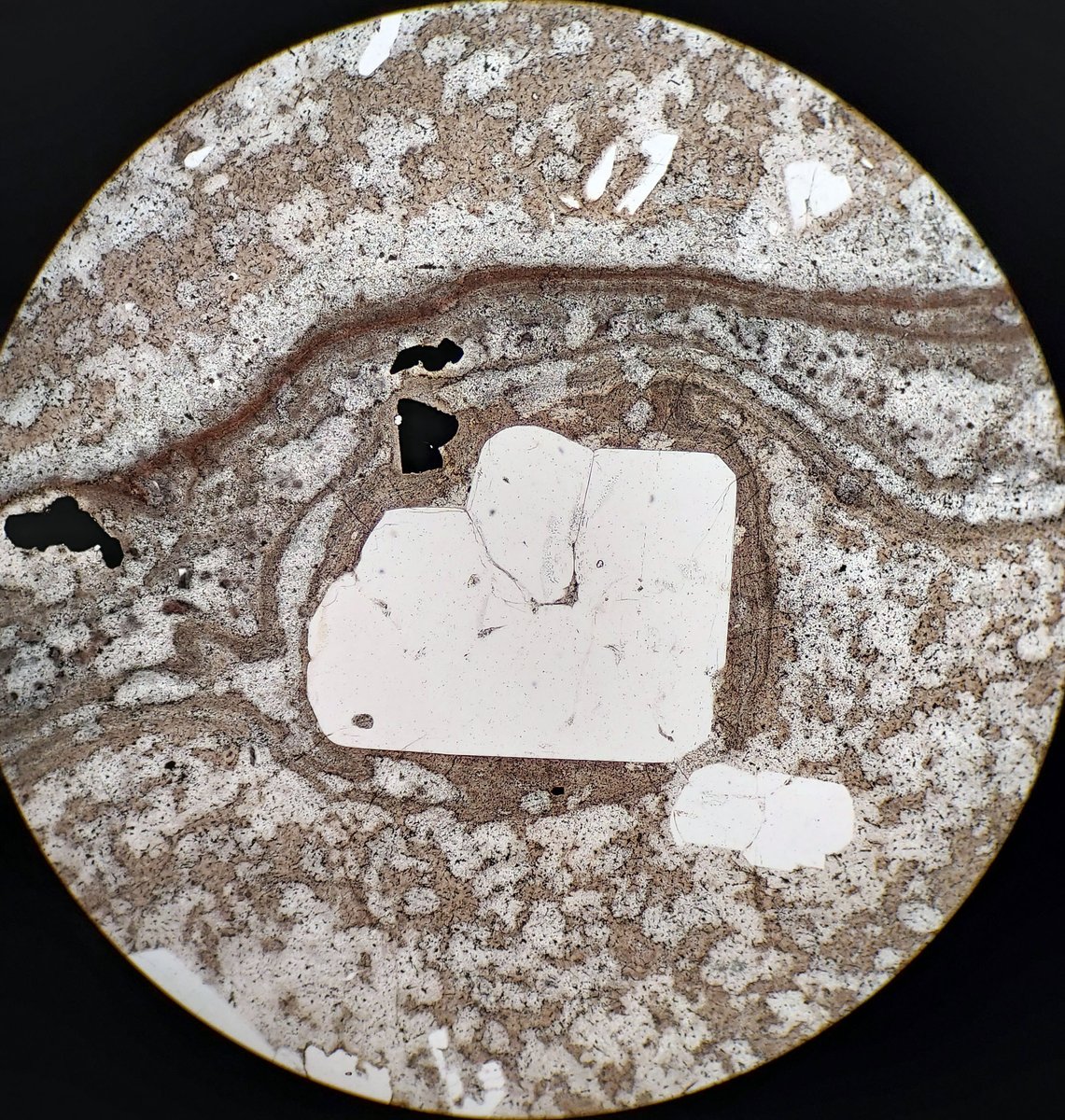 Mineralogical Society of America tweet media