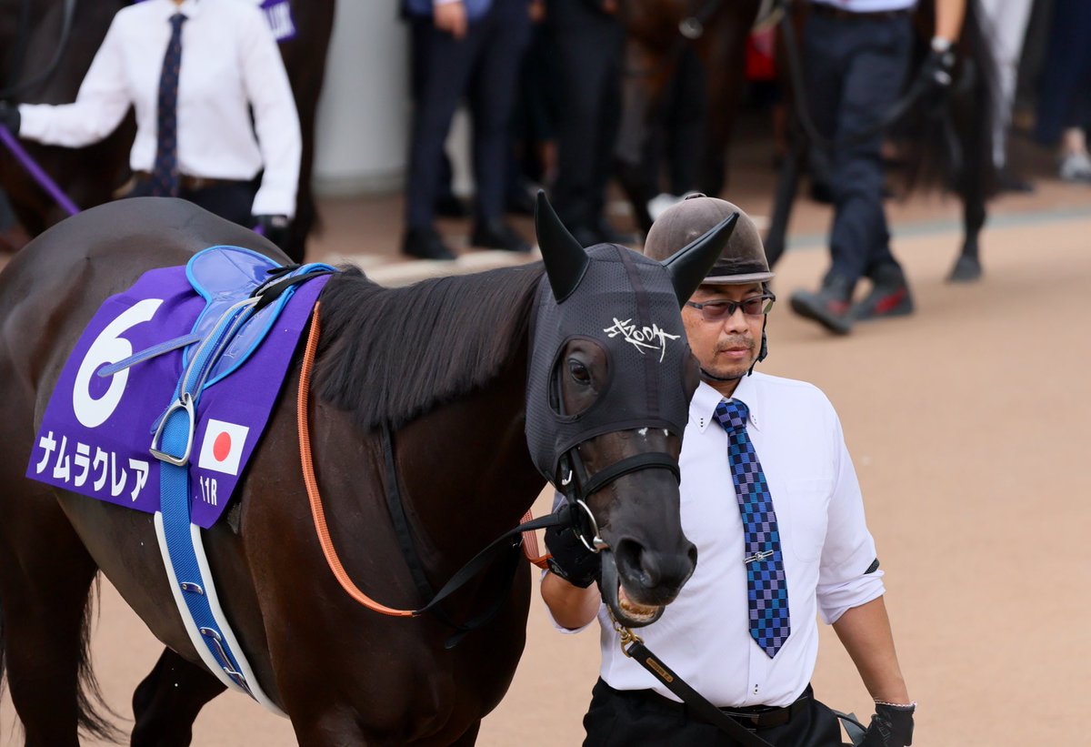 AVANTI Sサイズ 第35回スプリンターズS トロットスター AVANTI Sサイズ