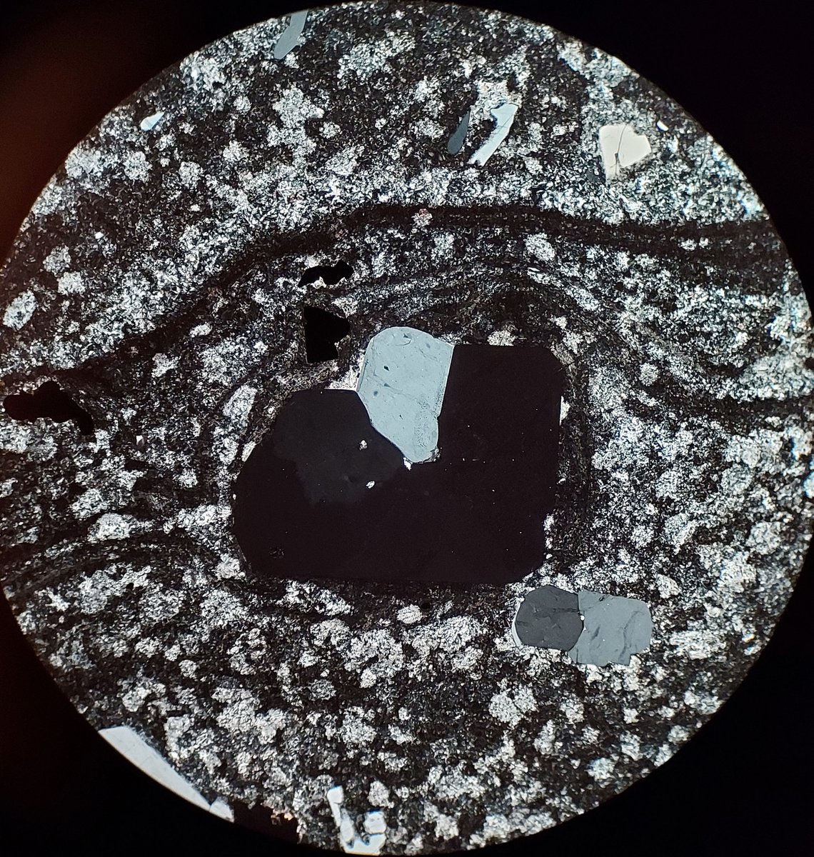 Mineralogical Society of America tweet media