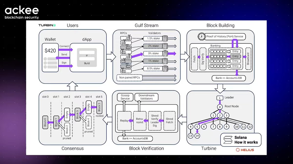 CodeAdeoluwa's tweet image. Week 1 of School of Solana by @AckeeBlockchain @andrej_xyz
Deep dive into Solana's architecture: Turbine, Gulf Stream, PoH mechanics.
Let’s gooo 🦀