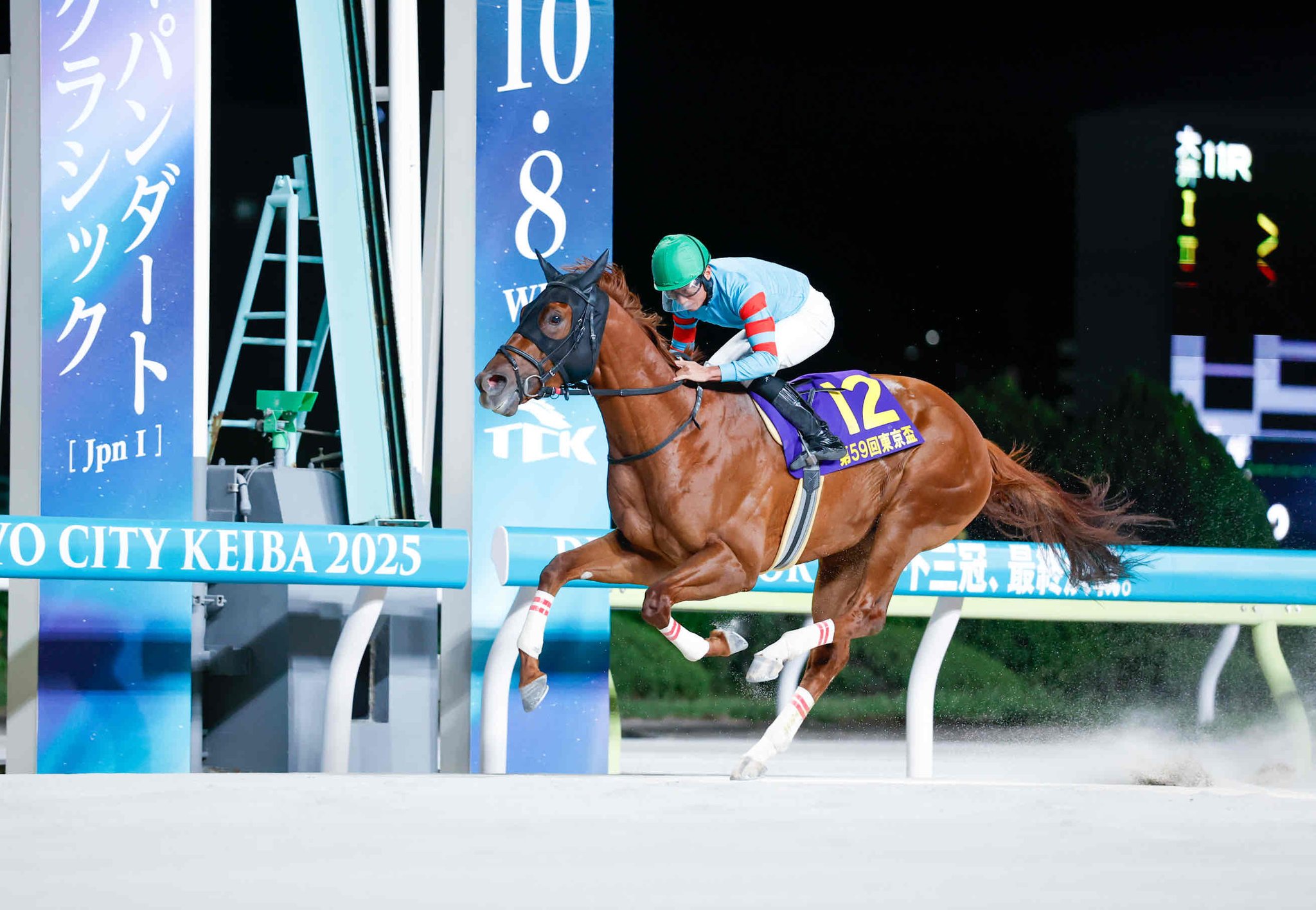 競馬 EPOCH HORSERACING 2023 イルーシヴパンサー 岩田望来 EPOCH ホースレーシング 2023 下半期 岩田 望来 直筆 サイン