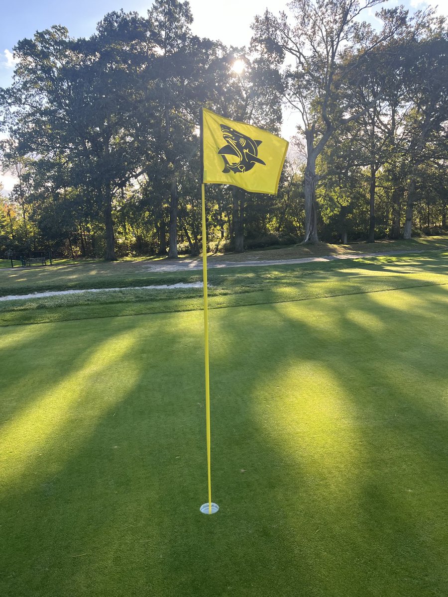 Toast210 tweet media