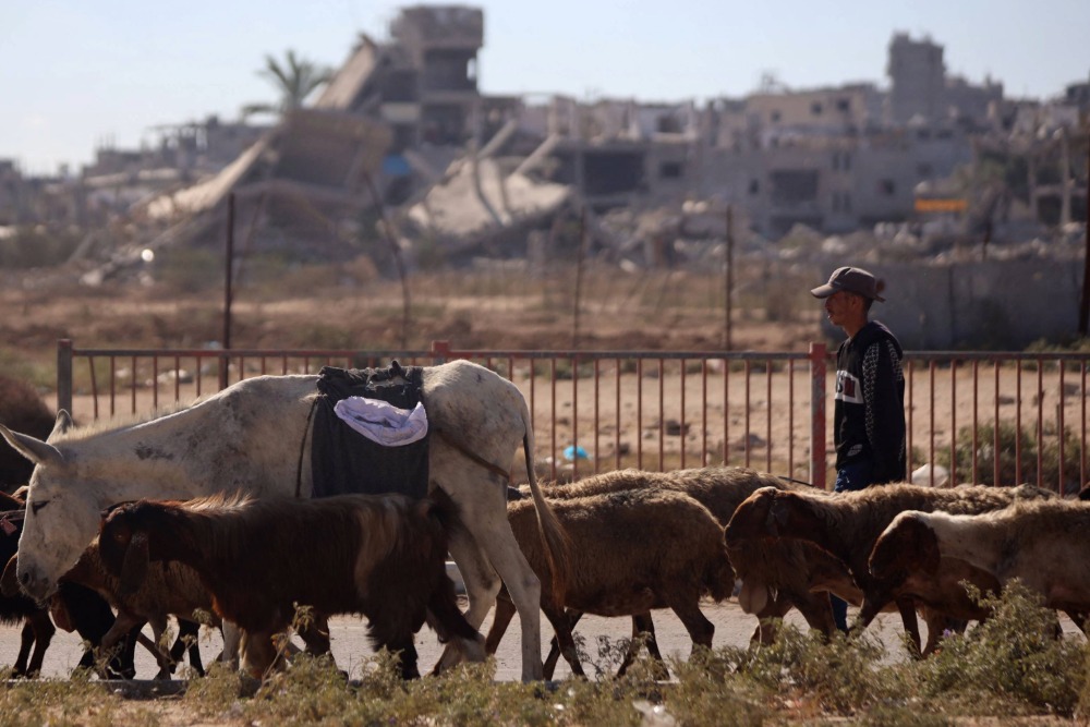 ituc's tweet image. ITUC welcomes the Gaza ceasefire — but calls for full implementation &amp;amp; lasting peace ☮️

After two years of devastating conflict, the newly brokered ceasefire between Israel and Gaza offers a fragile opening toward ending the violence. 

ITUC urges:
✅Immediate, full…