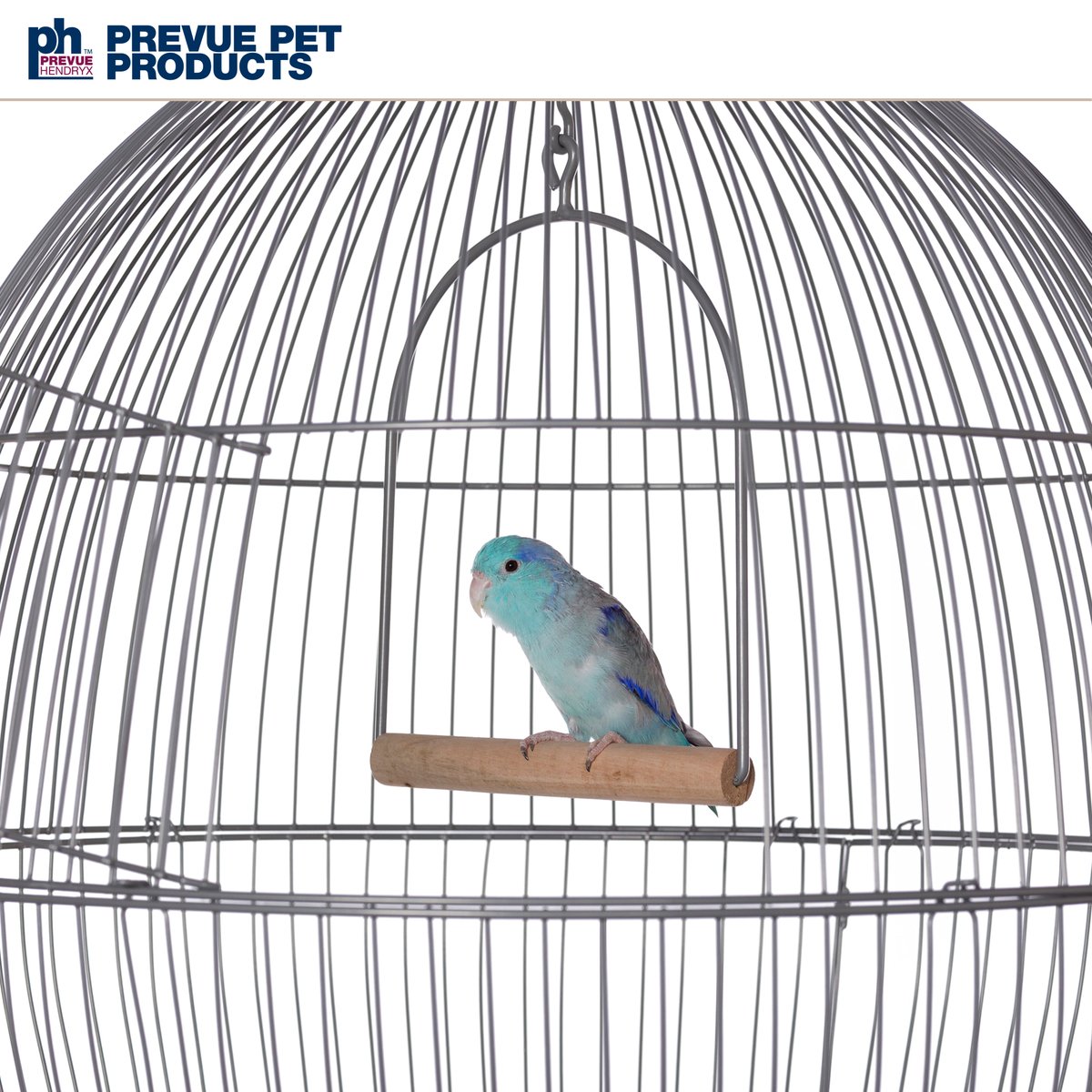 Prevue Pet Products tweet media