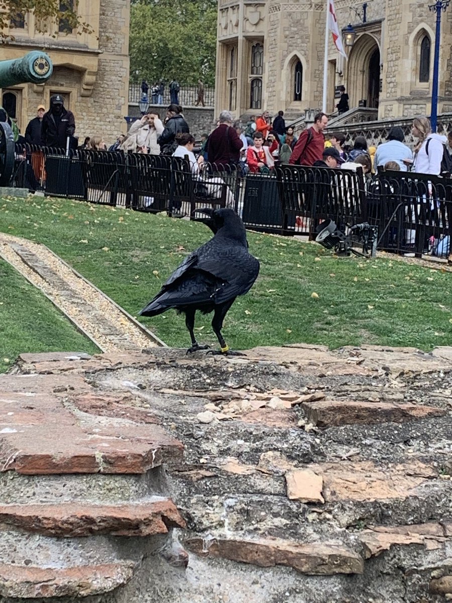 Meeting pirates at The Tower of London <a href="/RCSalfordEd/">Diocese of Salford Department for Education</a>