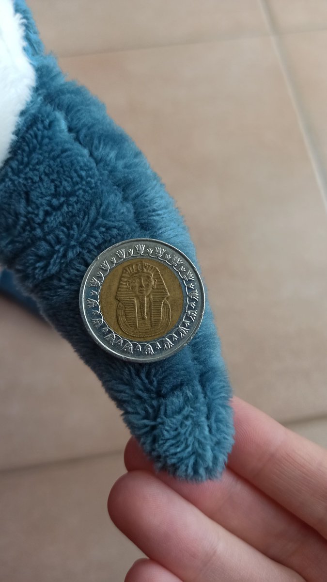 GiraffaV's tweet image. An Egyptian coin!
And it has come to me, in Italy!
Amazing!

#IKEAのサメ #ikeashark #stuffedtoy #blåhaj #brioches #italy #peluches #stuffedanimals #blahaj #homesweethome #lasagna #egypt #coin #trip #amazing #egitto #autumn #october #ottobre #autunno