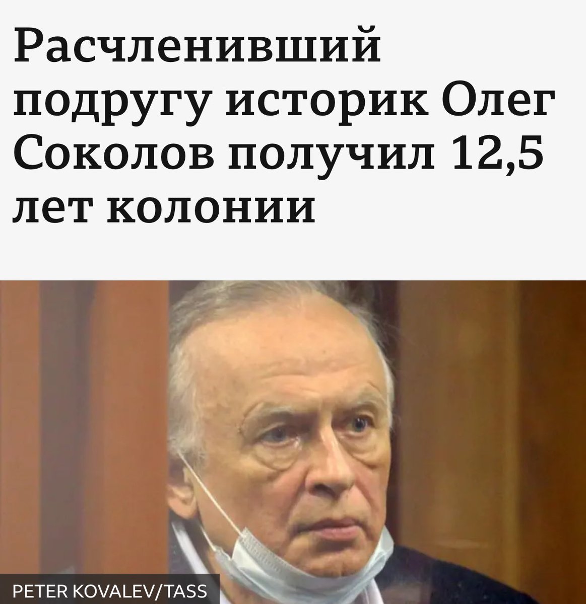 «Академики Соколовы» возмущены разгулом мигрантизма  в Европе. Предлагают европейцам свои услуги…