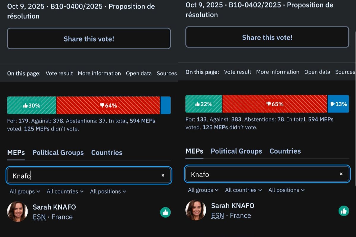 La seule représentante politique qui a voté les 2 motions de censure est Sarah Knafo.