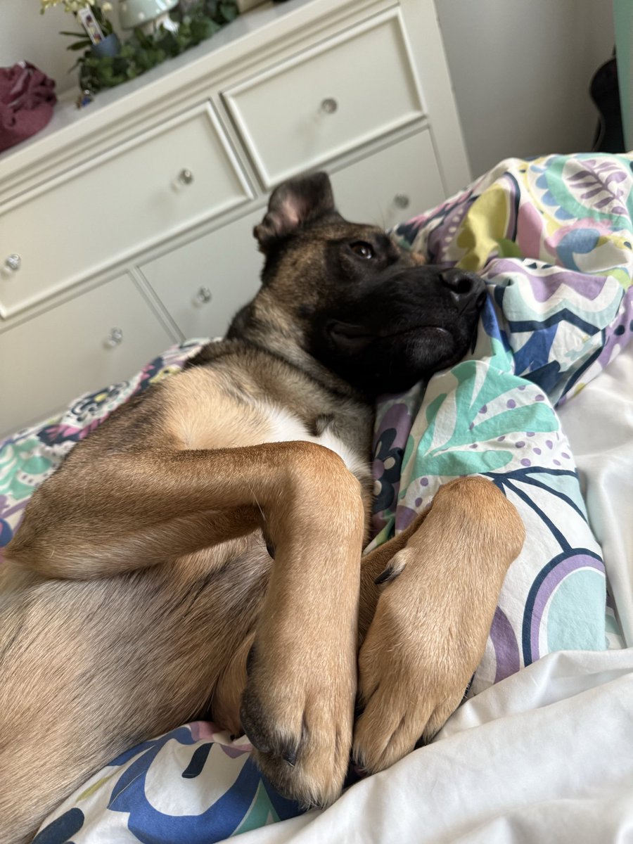 Olivia Krolczyk ✞ tweet media