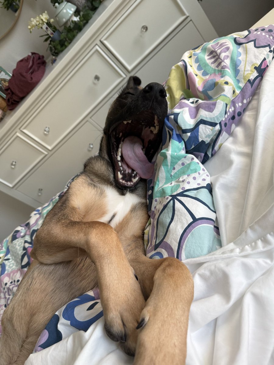 Olivia Krolczyk ✞ tweet media