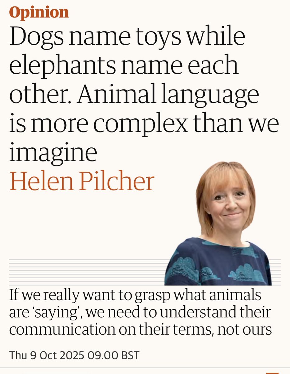 Any excuse to talk about Mr Waffles, the potty-mouthed terrier, and I'm in.... Dogs name toys while elephants name each other. bit.ly/4ofzWQ7 <a href="/guardianopinion/">Guardian Opinion</a>