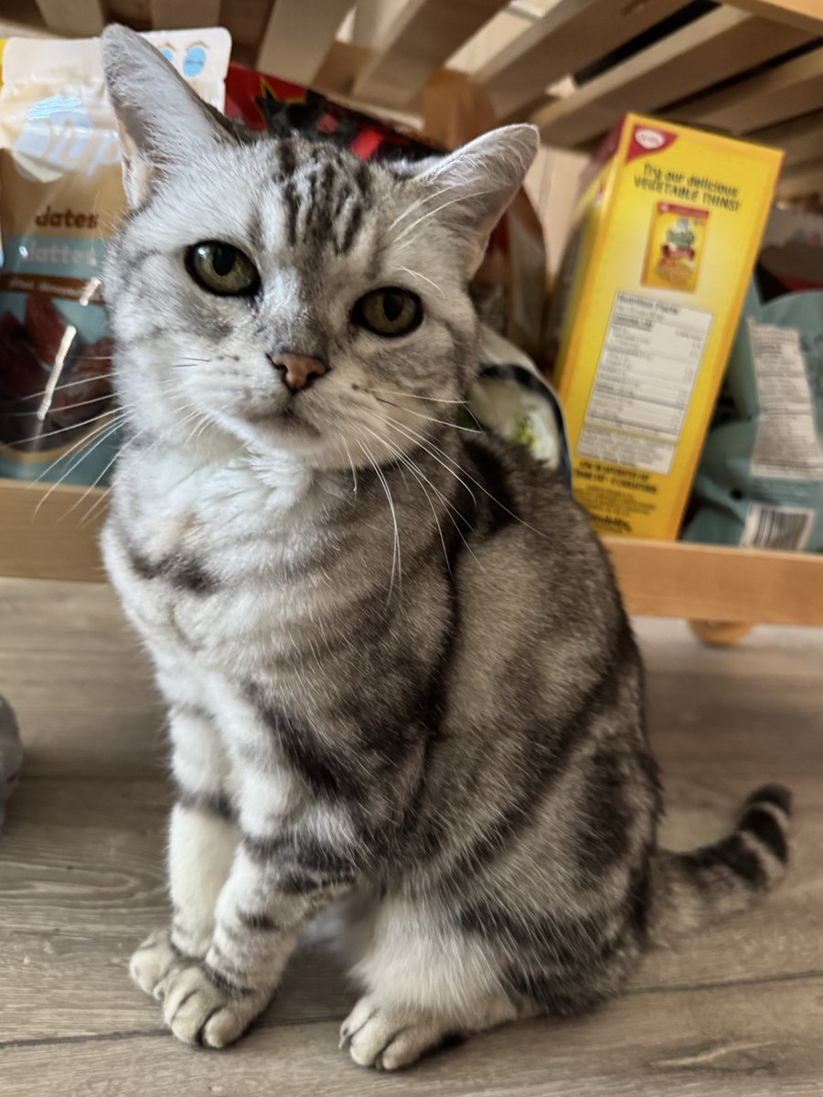 귀엽다구요? 잘 알구있으니까 말 안해도 되지는 않구 계속 해주세요 맨날 또 듣는거 조아해요