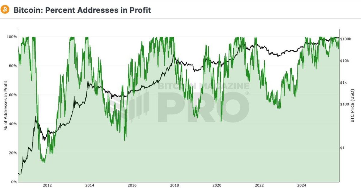 Web3Niels's tweet image. 99% of Bitcoin wallets are in profit.

And history says this is where things get spicy.

When everyone’s winning, two things usually follow:

-&amp;gt; Early sellers lock in gains. 

-&amp;gt; The strong hands double down. 

Every cycle, this point marks the start of massive volatility; either…
