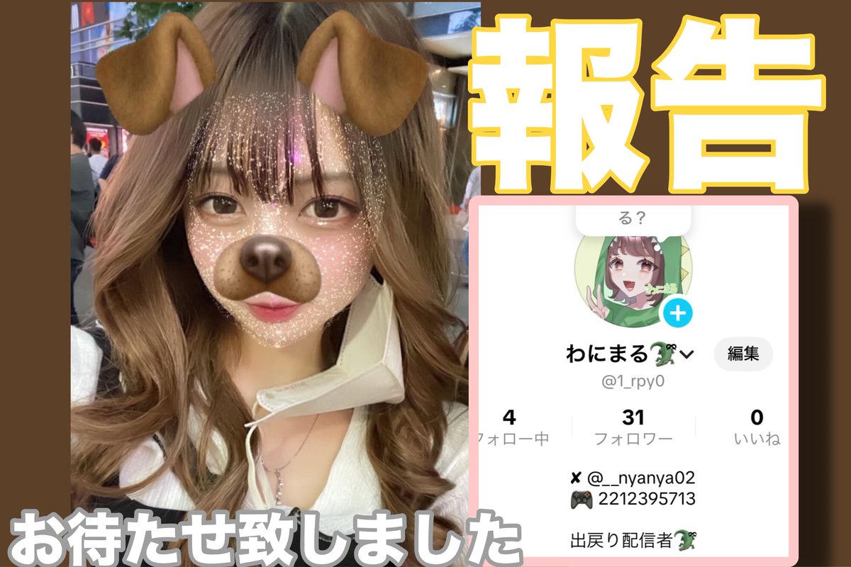 わにまる🐊ྀི tweet media